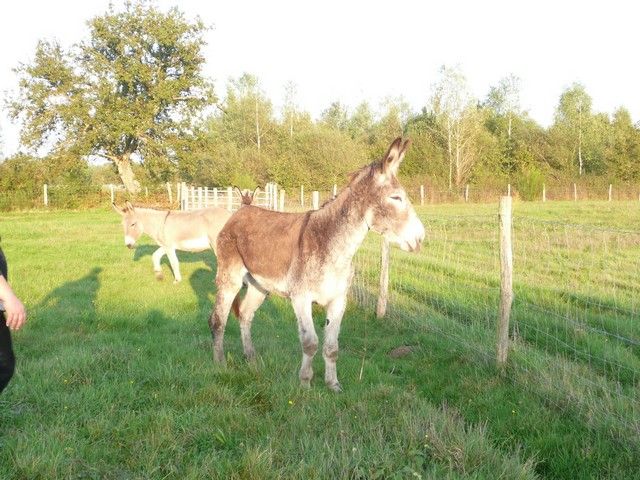 Balthazar et leonard Arrivee (26).jpg